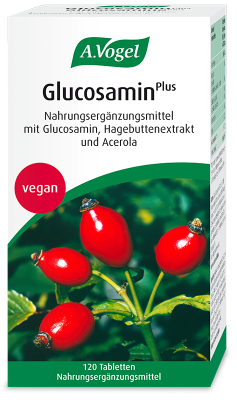 Glucosamin Plus